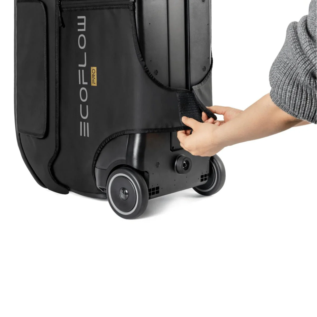 EcoFlow DELTA Pro Bag - Image 3